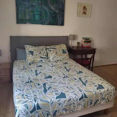 Apartament Centre Historique A 2 Pas Du Musee Rigaud