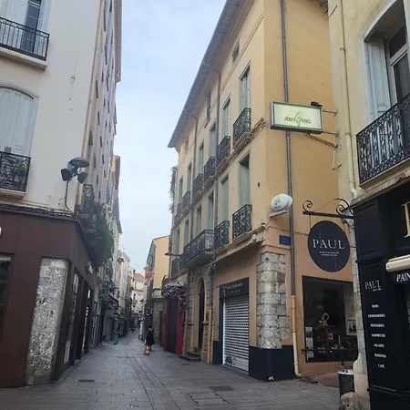 Apartament Centre Historique A 2 Pas Du Musee Rigaud