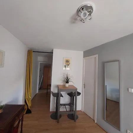 Centre Historique A 2 Pas Du Musee Rigaud 아파트 페르피냥