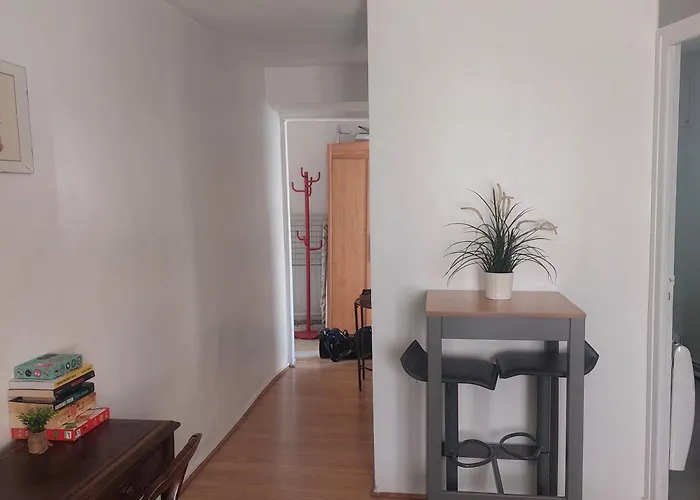 Centre Historique A 2 Pas Du Musee Rigaud ペルピニャン