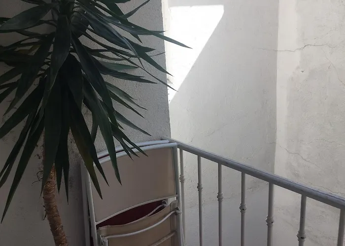 Centre Historique A 2 Pas Du Musee Rigaud *